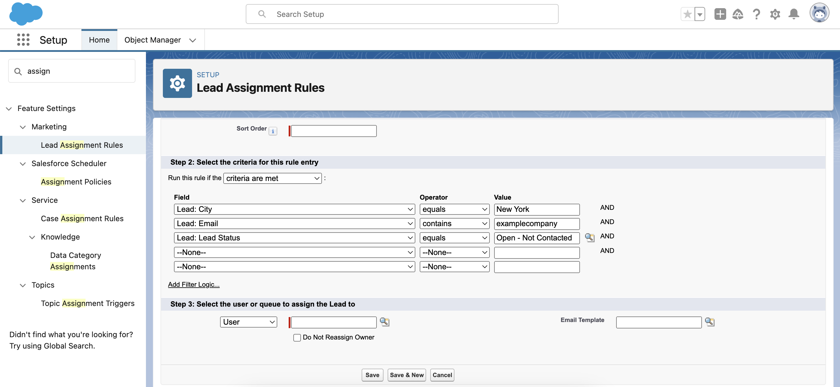 Lead Assignment Rule_criteria