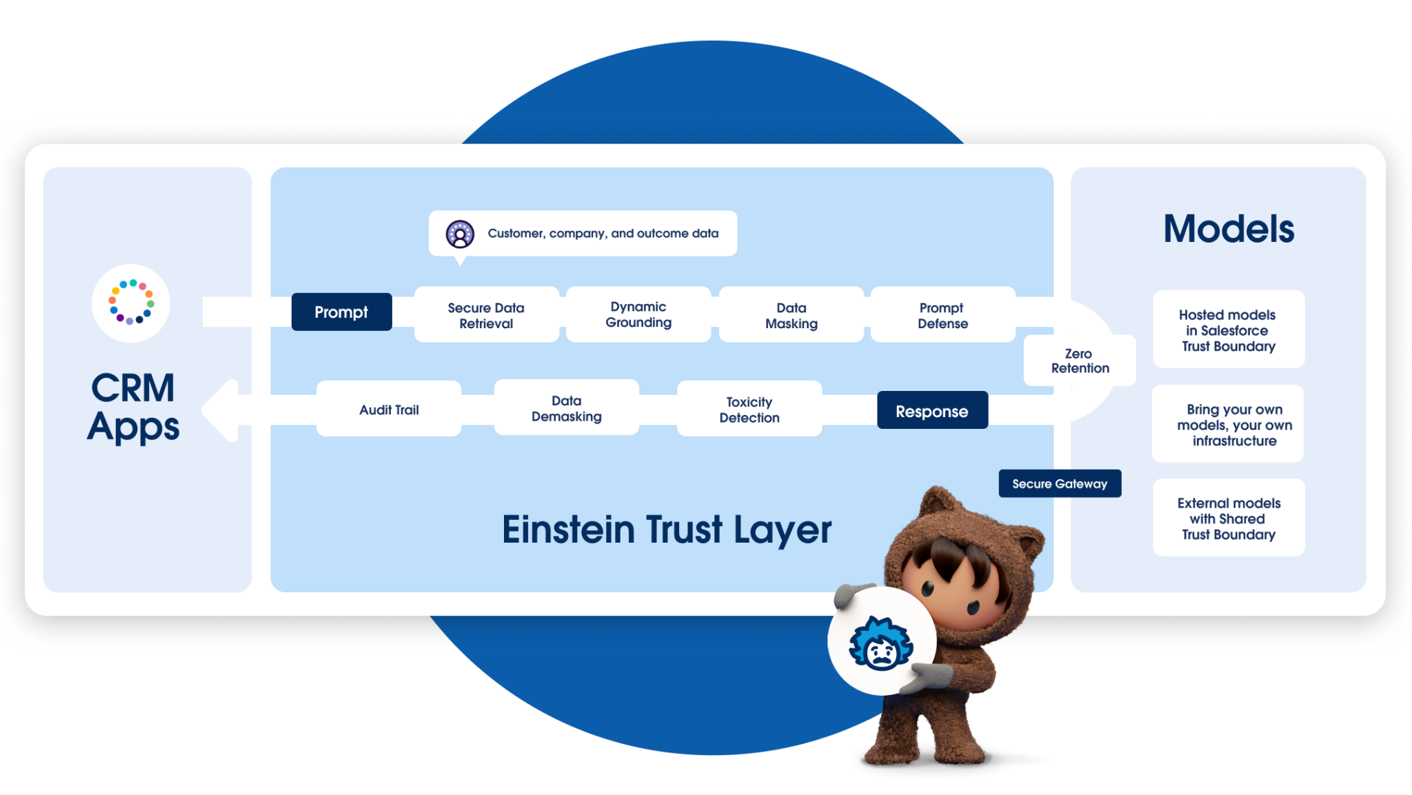 Einstein Trust Layer